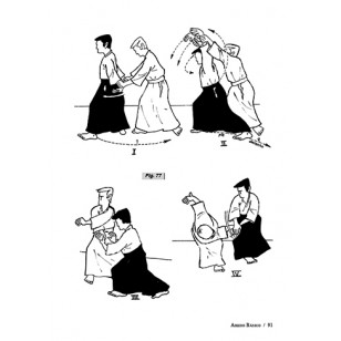 Aikido Básico
