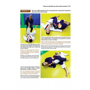 Brazilian Jiu-Jitsu (intermedio III)