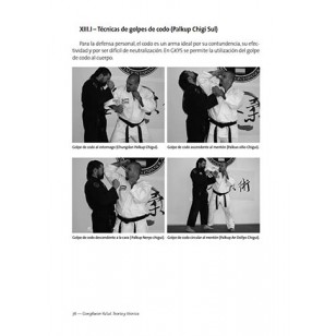 GongKwon YuSul. La evolución de las artes marciales coreanas