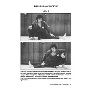 Guía de elasticidad y flexibilidad para las Artes Marciales