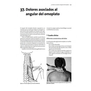 Método Maigne. Medicina Ortopédica Manual.