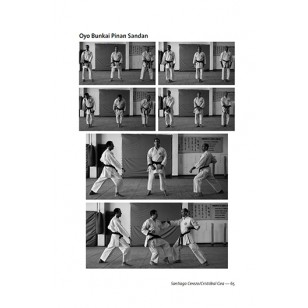 Shito-Ryu Karate-Do (Introducción) Vol. 1