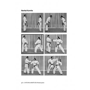 Shito-Ryu Karate-Do (Primeros pasos) Vol 2