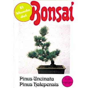 El Mundo del Bonsai. Pinus Uncinata y Pinus Halepensis